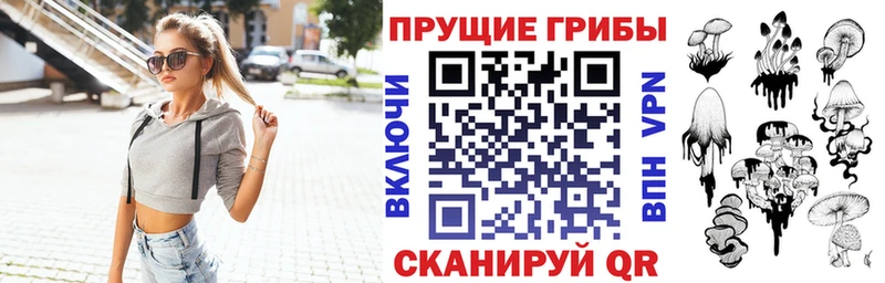 Галлюциногенные грибы Psilocybe  купить наркотики цена  Кирсанов 