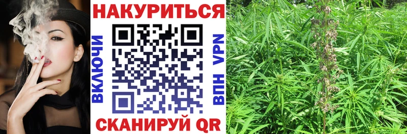 сколько стоит  Кирсанов  Конопля индика 